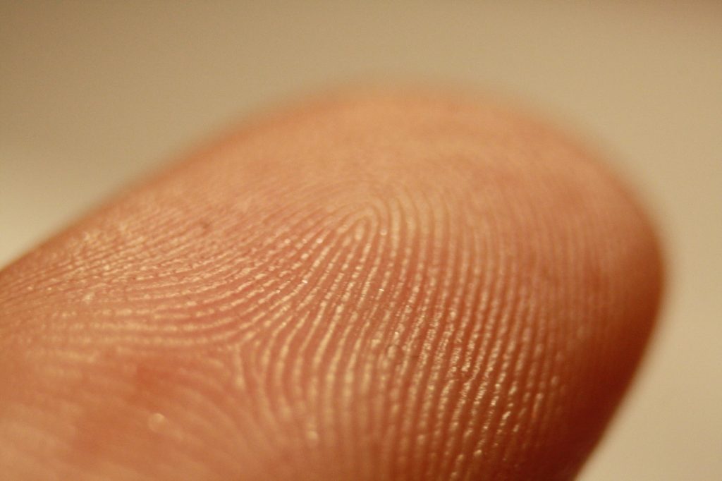 ¿Qué es lo que caracteriza a nuestras huellas dactilares?