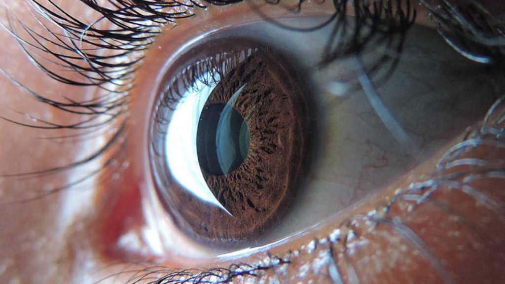 Elementos corporales, la retina del ojo