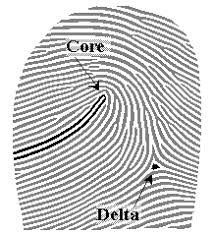 Hay dos regiones fácilmente identificables, el core y el delta